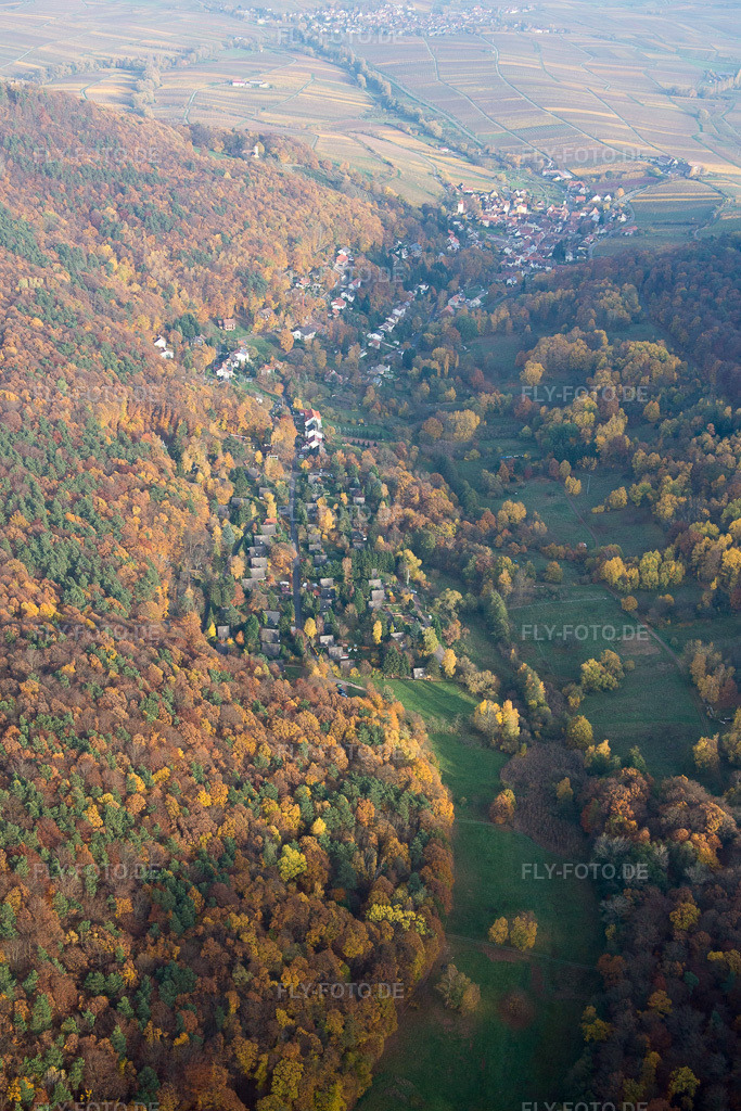 Luftbild: Birnbachtal in Leinsweiler im Bundesland Rheinland-Pfalz in Deutschland. Foto: IMG_085156.jpg vom 08.11.2015 durch Werner Riehm/FLY-FOTO.de