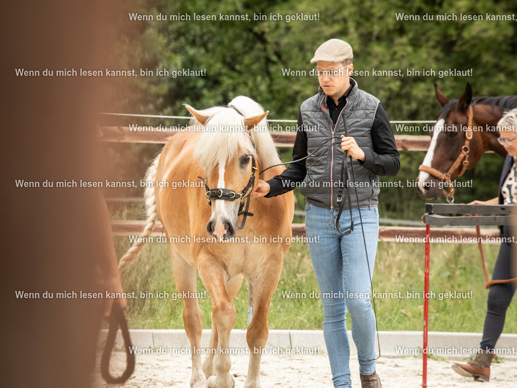 598A6220 | photographylinaismer - Realisiert mit Pictrs.com