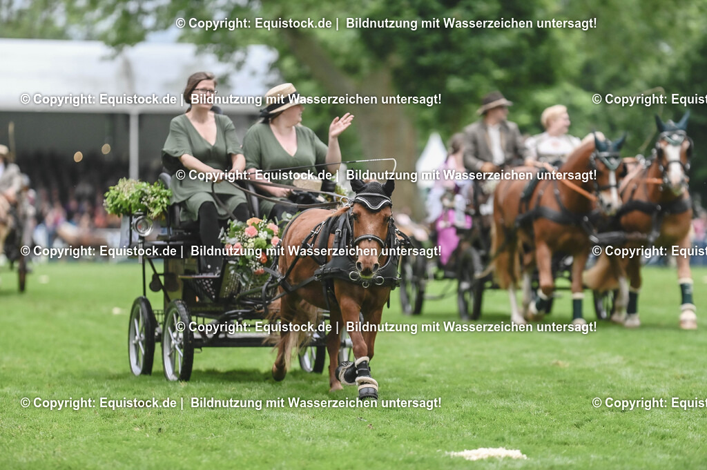 20240517_Lange-Pferdenacht_0144 | Foto: Thomas Hartig