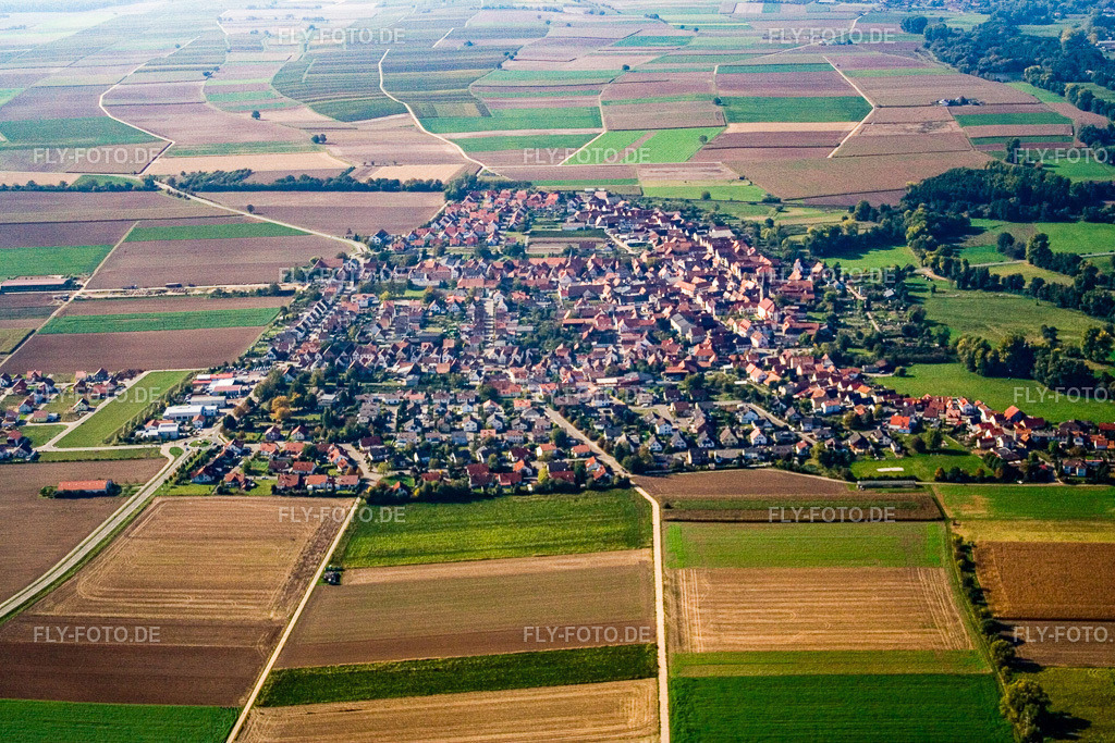 Ortsansicht von Osten | Luftbild: Ortsansicht von Osten in Steinweiler im Bundesland Rheinland-Pfalz in Deutschland. Foto: IMG_8311.jpg vom 06.10.2007 durch Werner Riehm/FLY-FOTO.de - Realisiert mit Pictrs.com