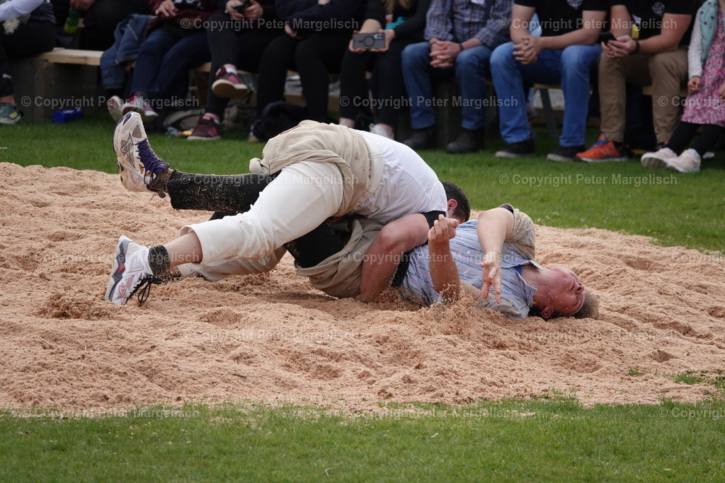DSC02351 | Schwingen - Realisiert mit Pictrs.com