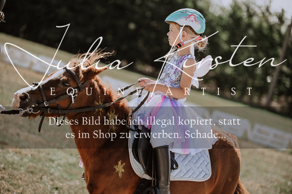 DSC_9045 | Pferde- und Turnierfotografie in Westsachsen. Pferdeportraits, Auftragszeichnungen und intuitive Kunst.