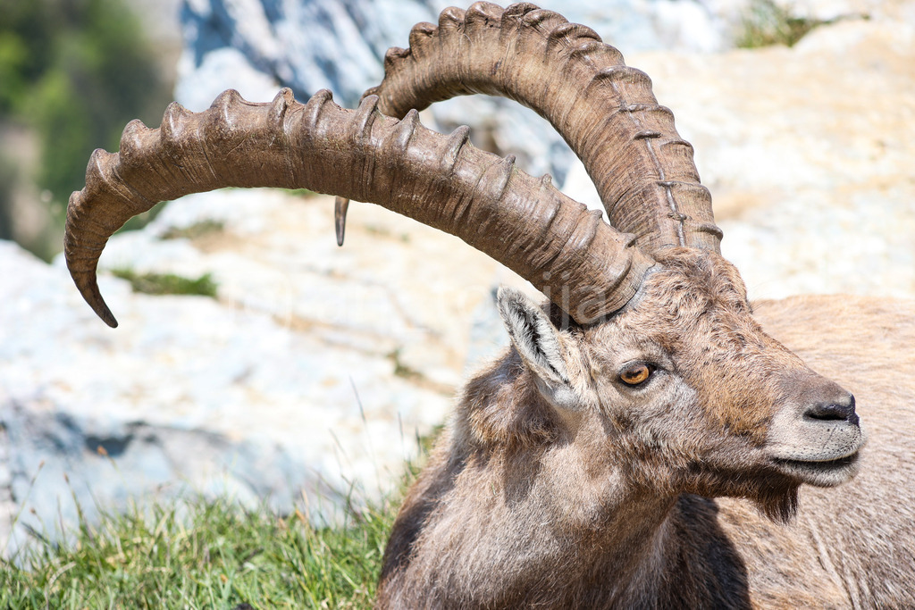 A.Trupina-43 | antonija-trupina - Realisiert mit Pictrs.com