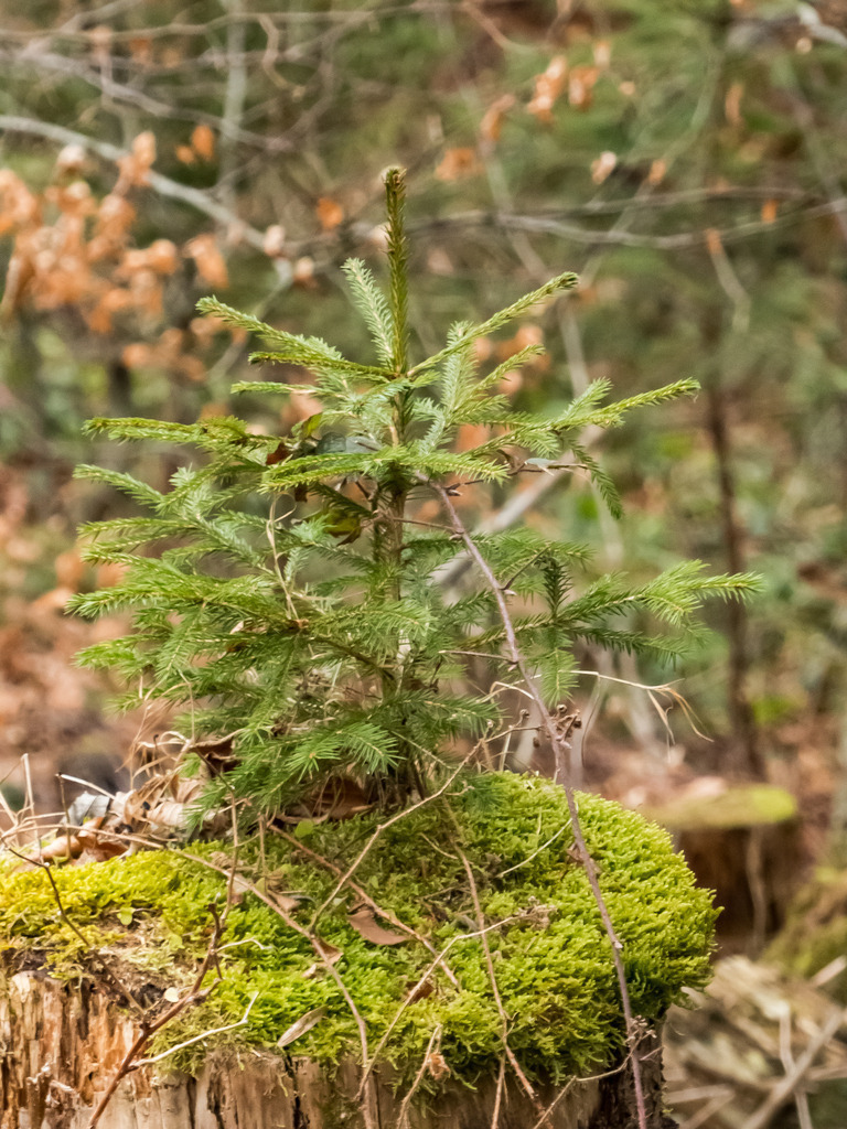 PSX_20230219_221955 | mtkfoto_ - Realisiert mit Pictrs.com