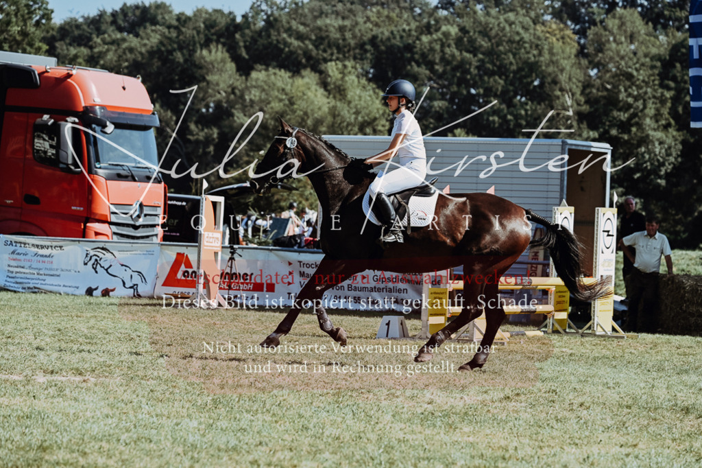DSC_6585 | Pferde- und Turnierfotografie in Westsachsen. Pferdeportraits, Auftragszeichnungen und intuitive Kunst.