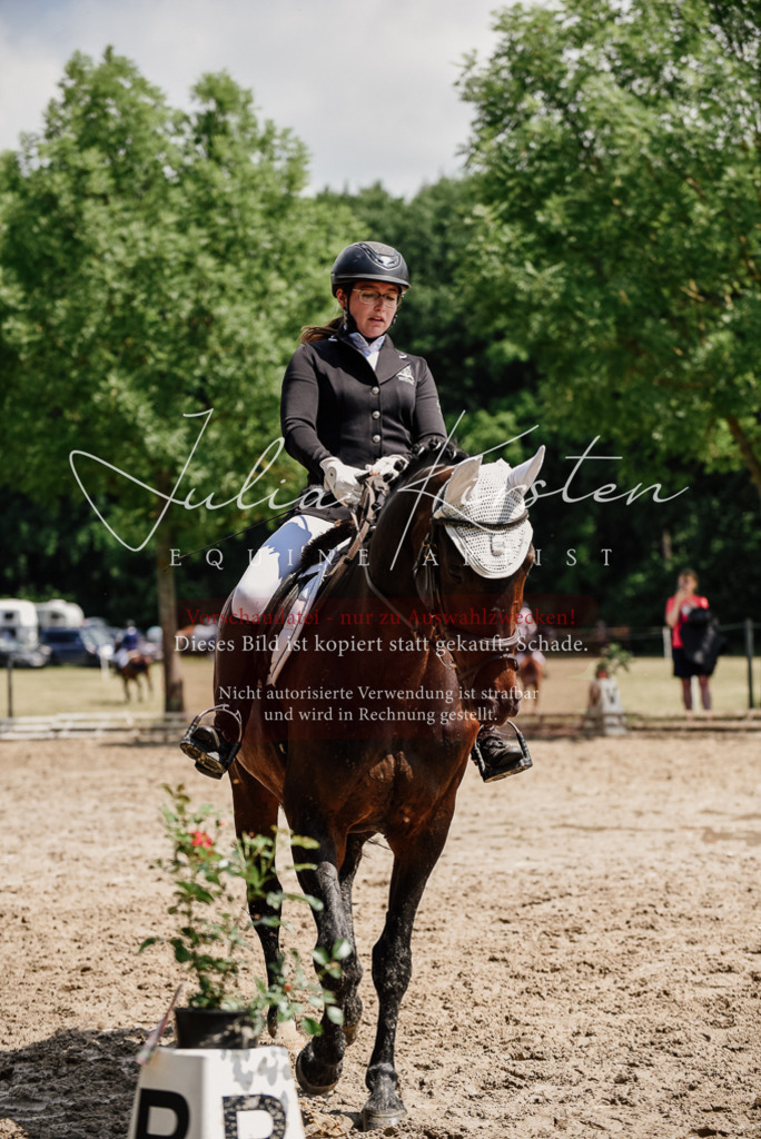 DSC_1066 | Pferde- und Turnierfotografie in Westsachsen. Pferdeportraits, Auftragszeichnungen und intuitive Kunst.
