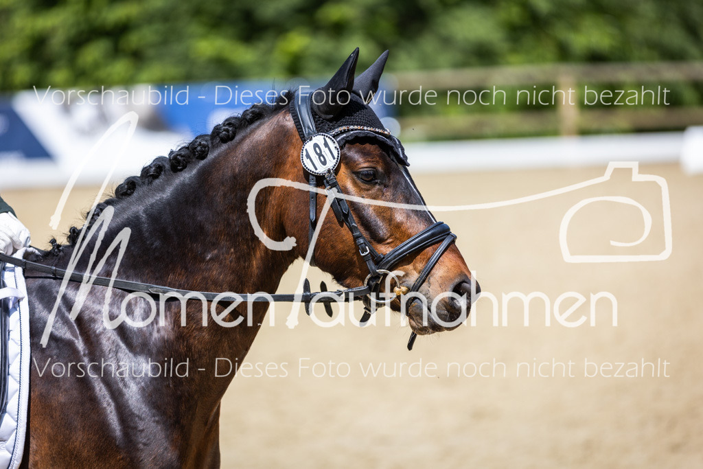 Donop24-EDre-055 | MomenTaufnahmen Pferdesportfotos