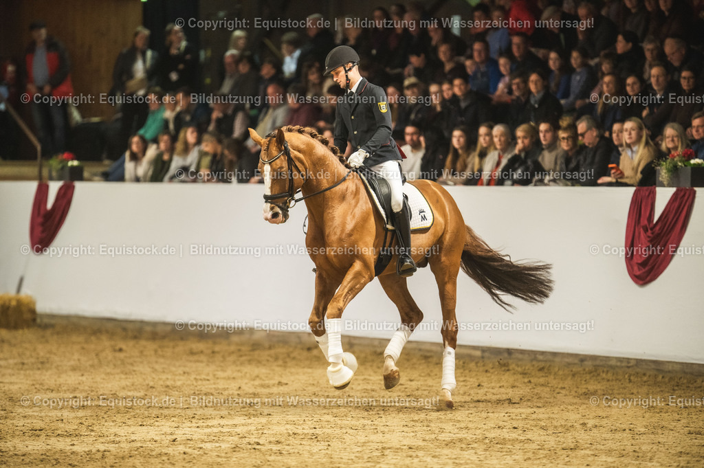 20240302_Hengstvorstellung_Marbach_TOMsPiC_0538 | equistock