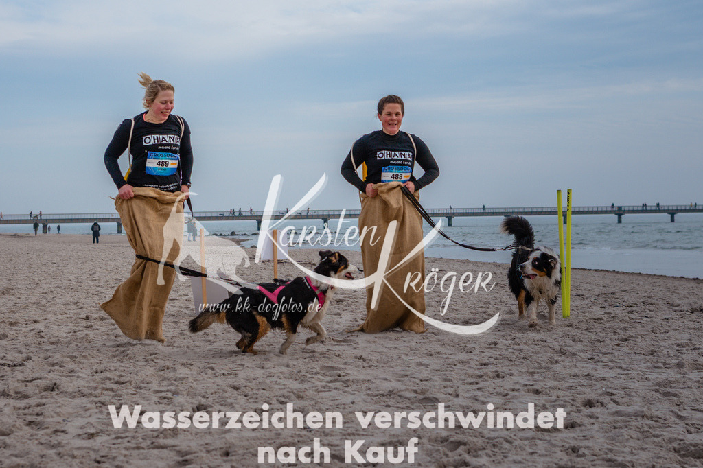 1138STR_9189 | kk-dogfotos