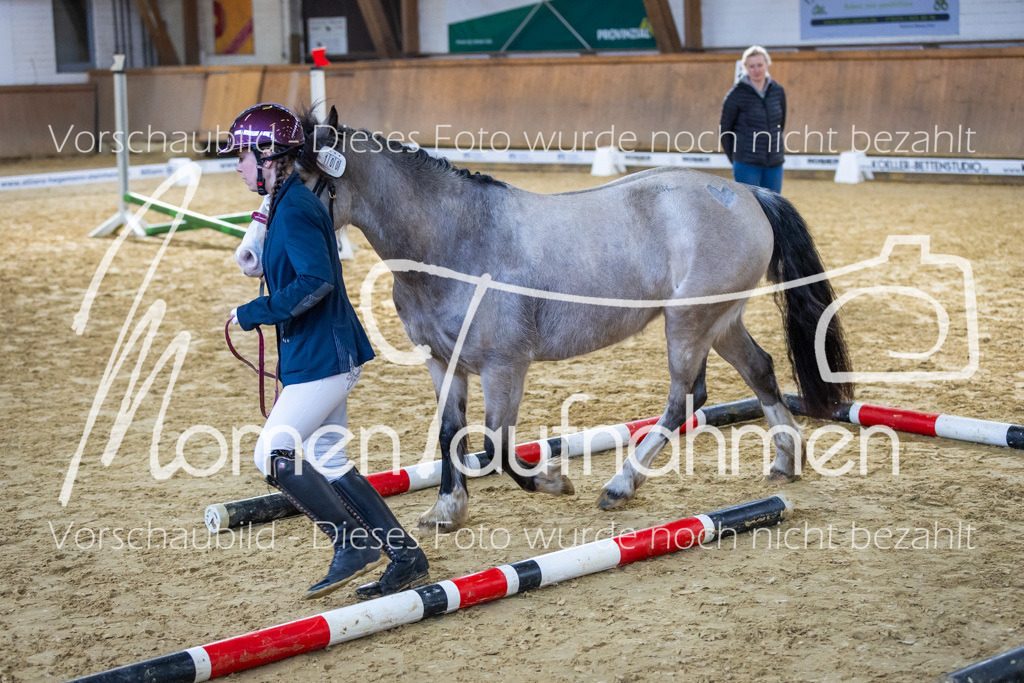 Sth-WBO25-Führ-WB-079 | MomenTaufnahmen Pferdesportfotos