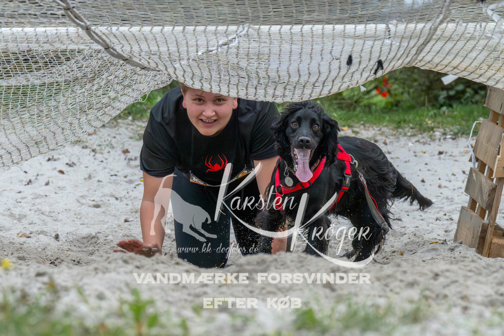 1037_ZZ94689 | kk-dogfotos