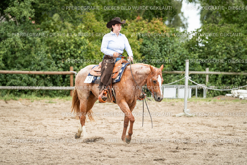 DSC04310 | Pferdegrafie