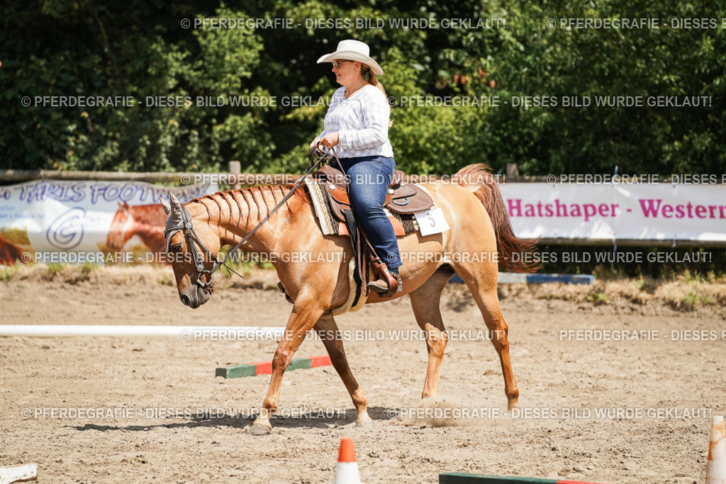 DSC07804 | Pferdegrafie