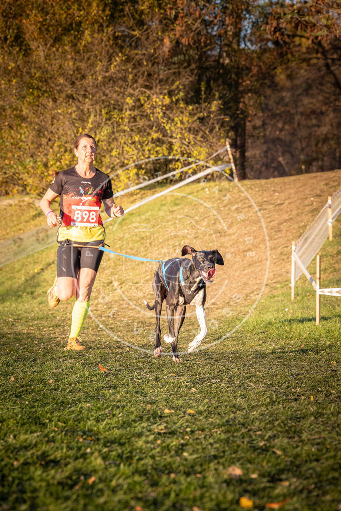 CaniXpix_0L8A1283 | Hundefotografie, Tierfotograf, Pfotenfotografie, Fotoshooting Hund, Hunde Portrait, Hundesport, Hundeportraits, Heideshooting, Hunde, Sportfotograf, Hundefotograf, Turnierhundsport, THS,  - Realisiert mit Pictrs.com