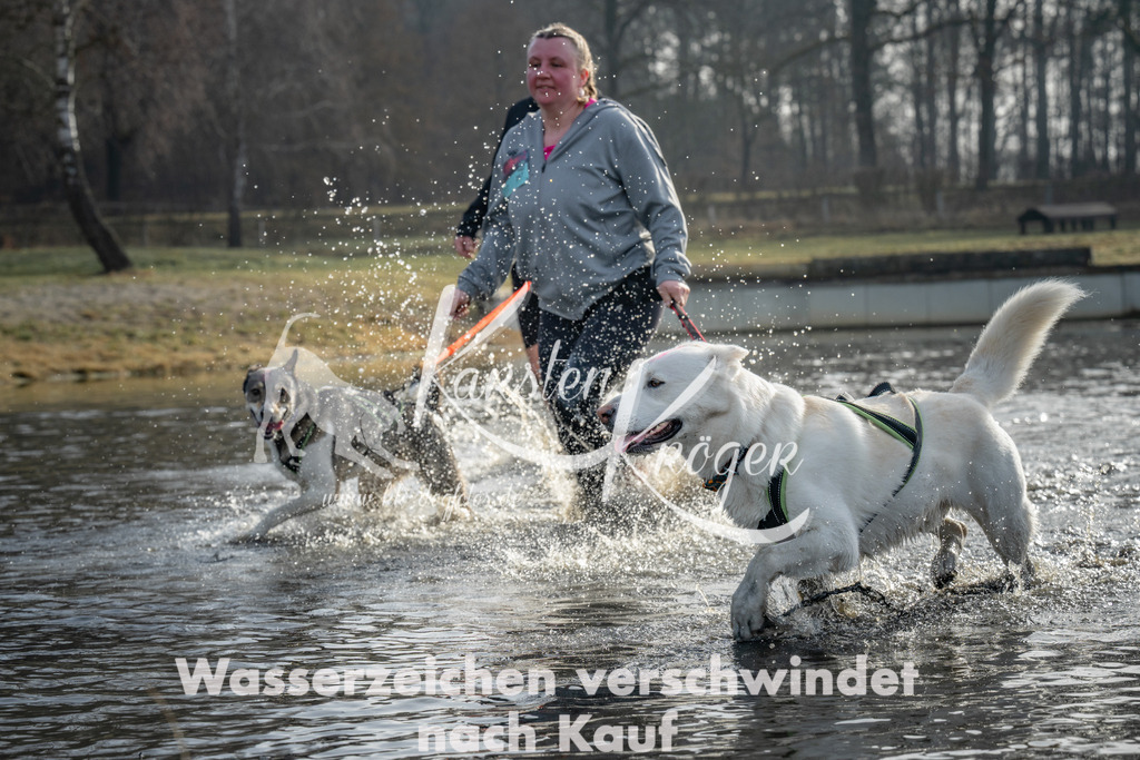 0936_ZZ92641 | kk-dogfotos