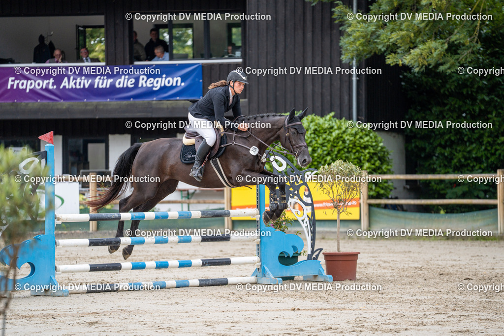 Hessische Tag 1-059 | dv-media-shop - Realisiert mit Pictrs.com