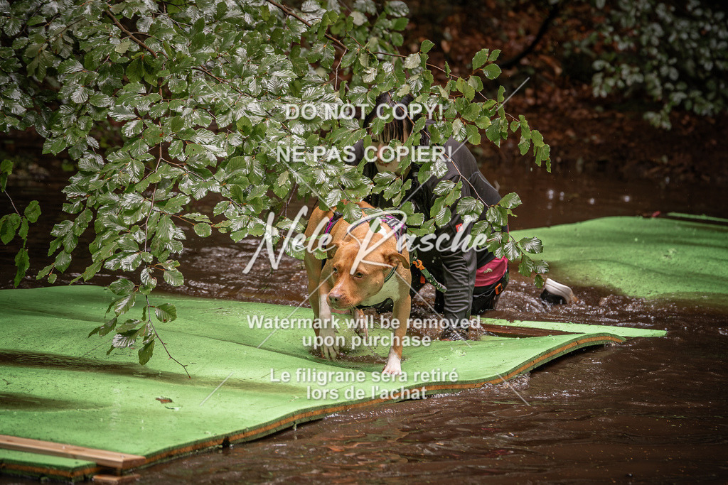nelerasche_Wingst_Sa1330-1400_16 | nelerasche