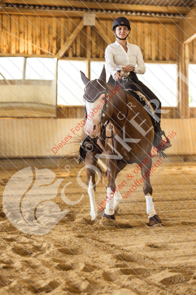 IMG_4926 | Sport-, Event- und Tierfotos in Profiqualität. Einfach auswählen, bestellen und herunterladen. Dein Moment – perfekt festgehalten.