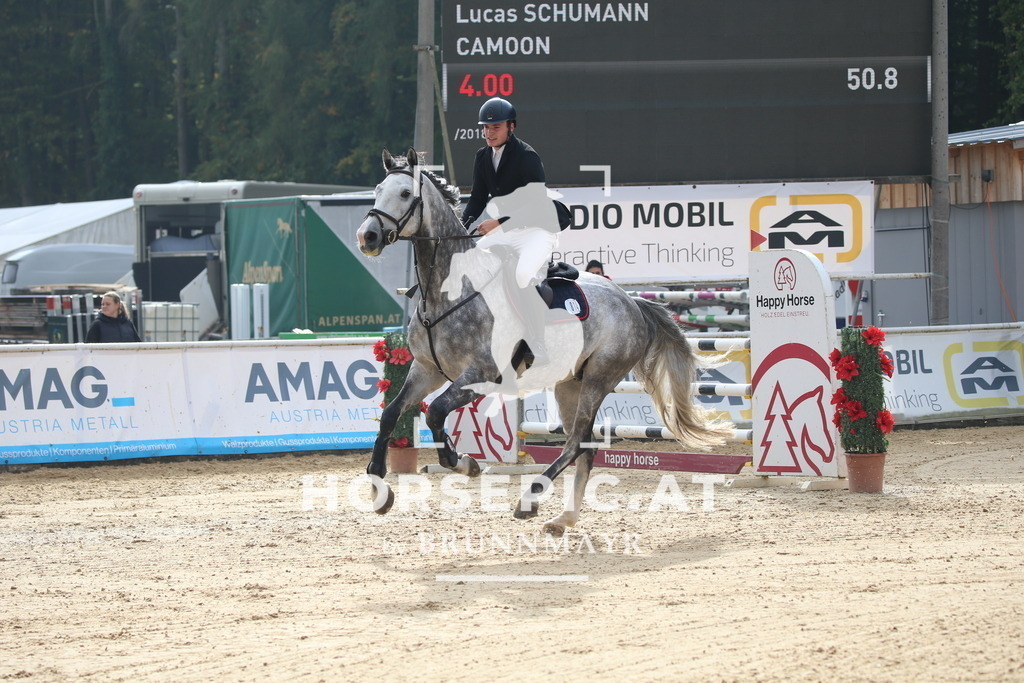 DL2Q0490 | Willkommen bei Brunnmayr - Design & Fotografie – Ihrem Spezialisten für Reitturniere und Pferdeveranstaltungen in Oberösterreich, Salzburg und Bayern! Seit über 17 Jahren sind wir leidenschaftlich dabei.