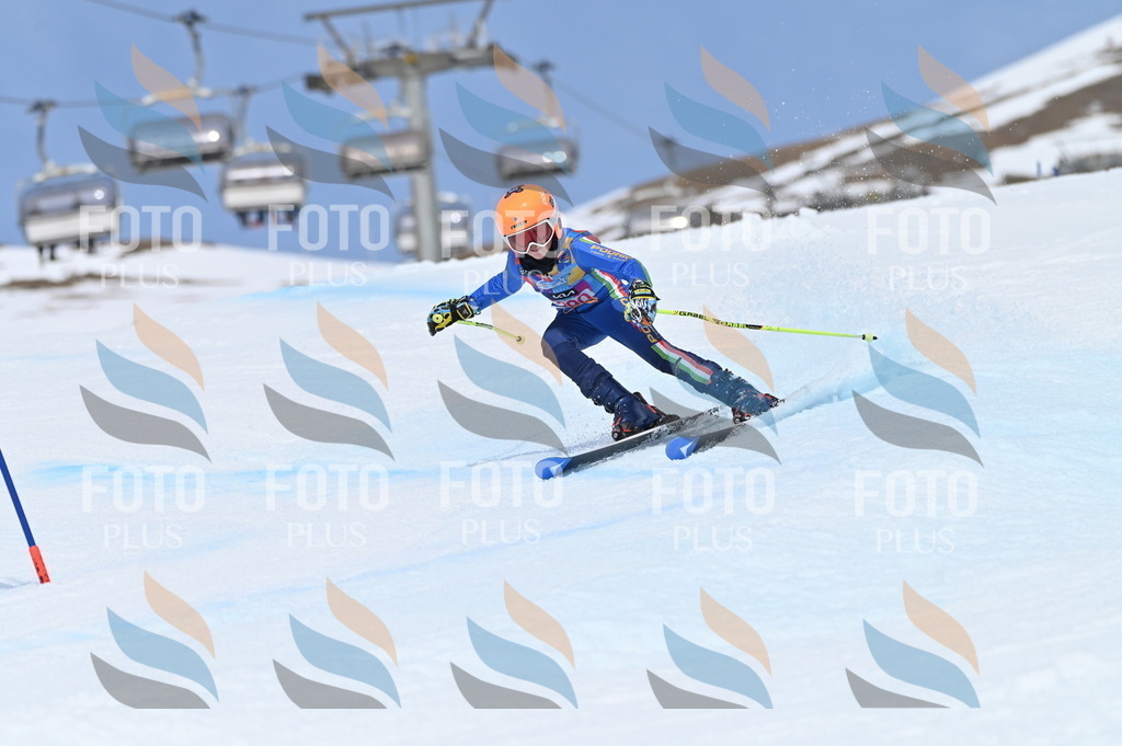 BGV_2606 | holidayphoto