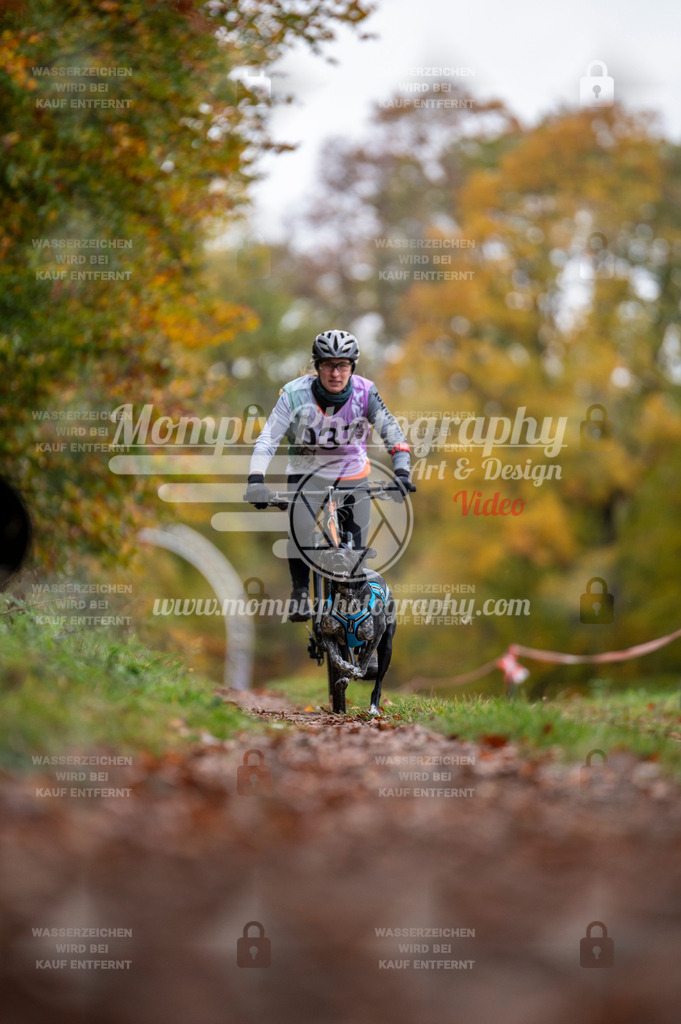 DBT_DAKM_SA_4_11_2023_Bike-11 | PayLife