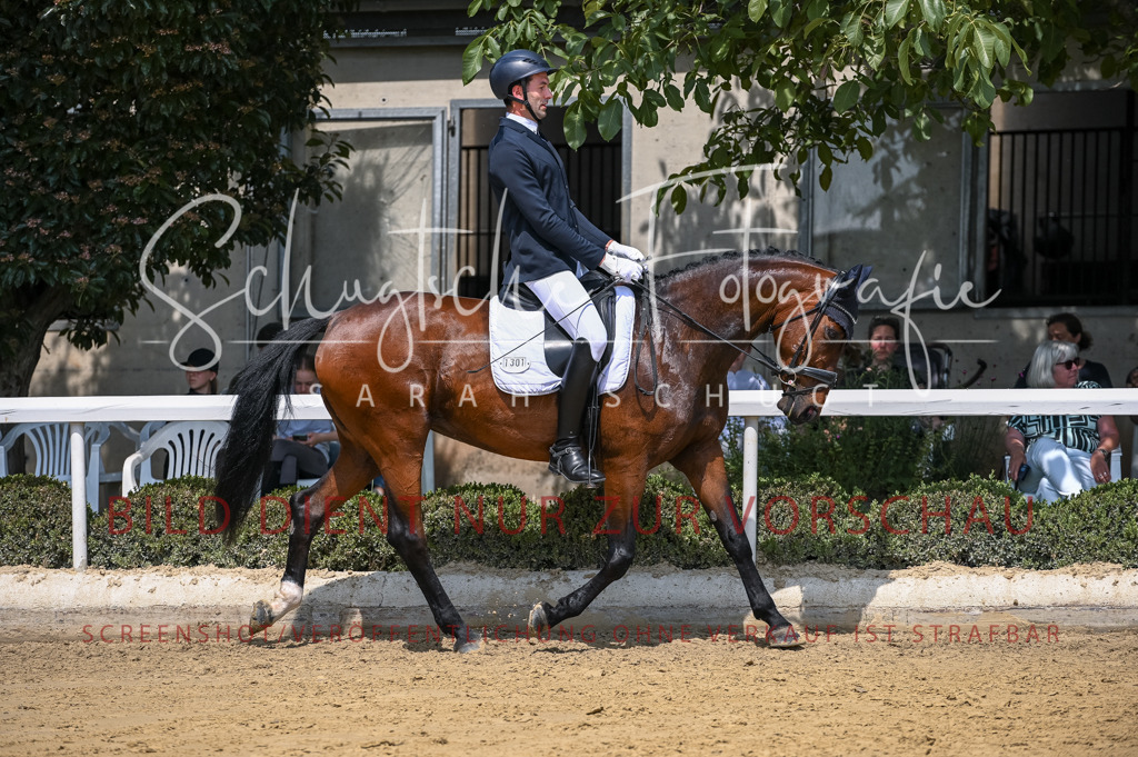 Schugtsche-Aluta25-53.Amat.Dressurprf.A2-290 | Schugtsche Fotografie - Realisiert mit Pictrs.com