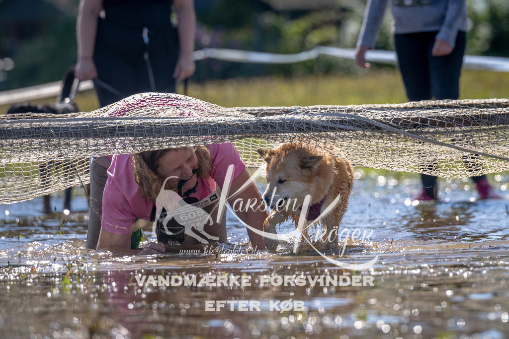 1251_ZZ90189 | kk-dogfotos