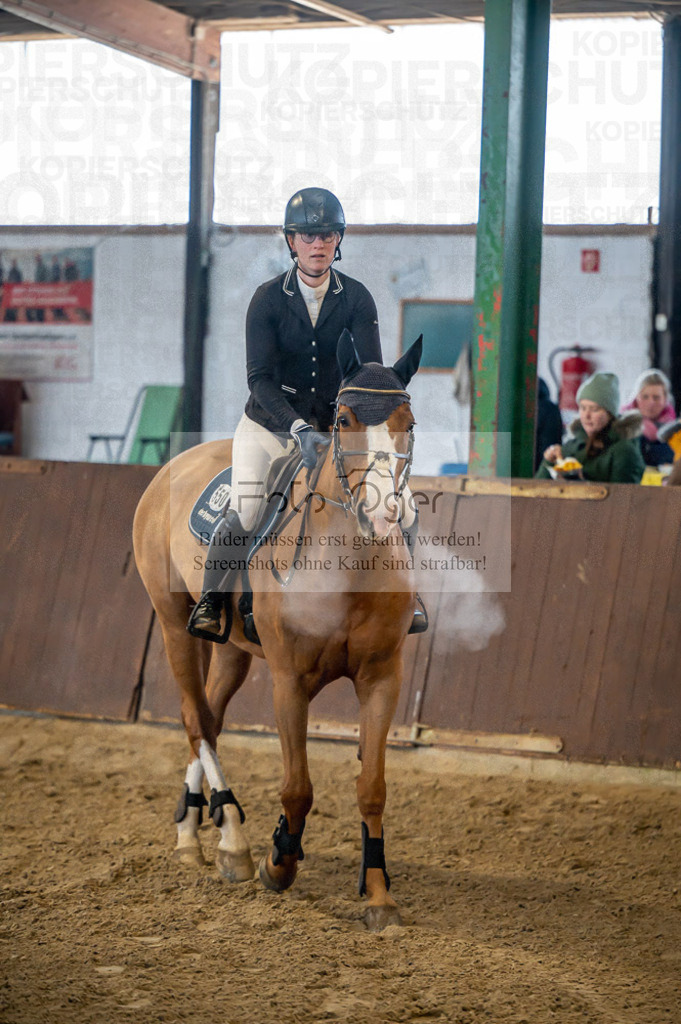 Hallenreittunier Voxtrup 2023 | Entdecke hochwertige Reitturnierfotos von Foto Oger. Professionell, emotional und authentisch – jetzt Lieblingsmomente im Shop bestellen.Deutschlandweite Turnierfotografie. - Realisiert mit Pictrs.com