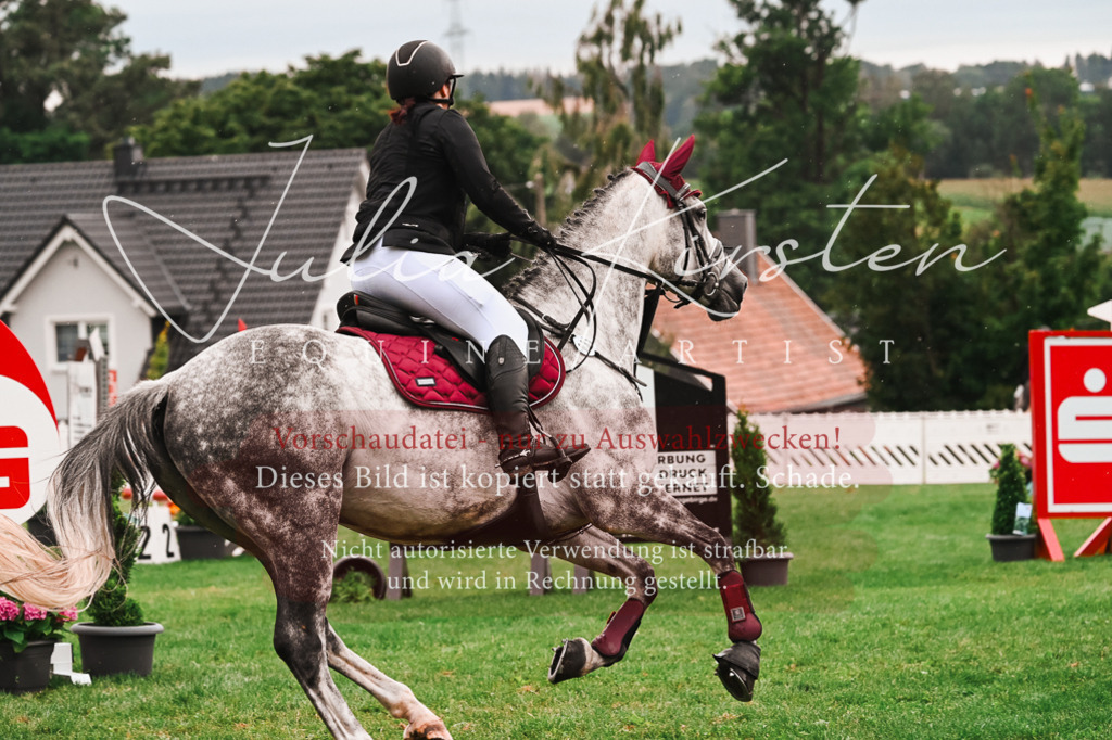 DSC_6359 | Pferde- und Turnierfotografie in Westsachsen. Pferdeportraits, Auftragszeichnungen und intuitive Kunst.