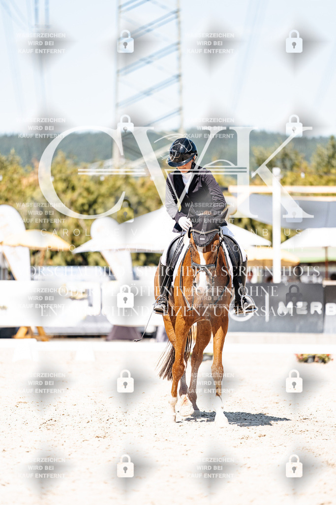 CK900469 | Turnierfotografie Pferdefotografie Trier Rheinland-Pfalz Pferdesport Reitsport Tierfotografie Sportfotografie Pferdevideo Pferdevideografie Equestrianvideography equestrianphotography  - Realisiert mit Pictrs.com