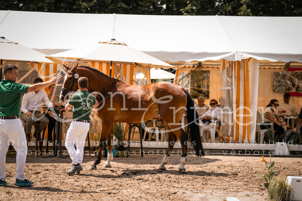 1.Fr00106 | Leoni Ertmer Photography - Realisiert mit Pictrs.com