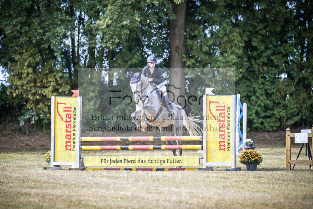 DOS_0533 | Entdecke hochwertige Reitturnierfotos von Foto Oger. Professionell, emotional und authentisch – jetzt Lieblingsmomente im Shop bestellen.Deutschlandweite Turnierfotografie. - Realisiert mit Pictrs.com