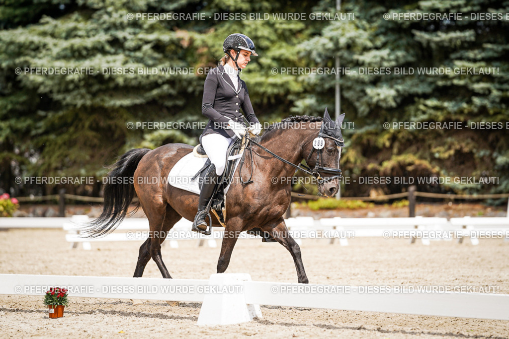 DSC03842 | Pferdegrafie