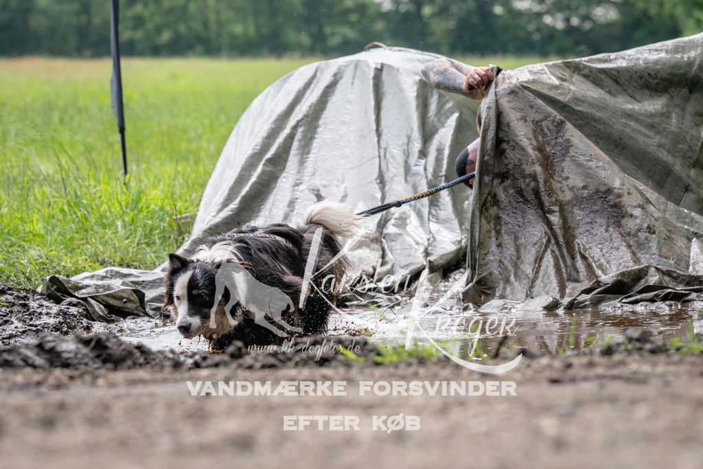 0944_ZZ91525 | kk-dogfotos