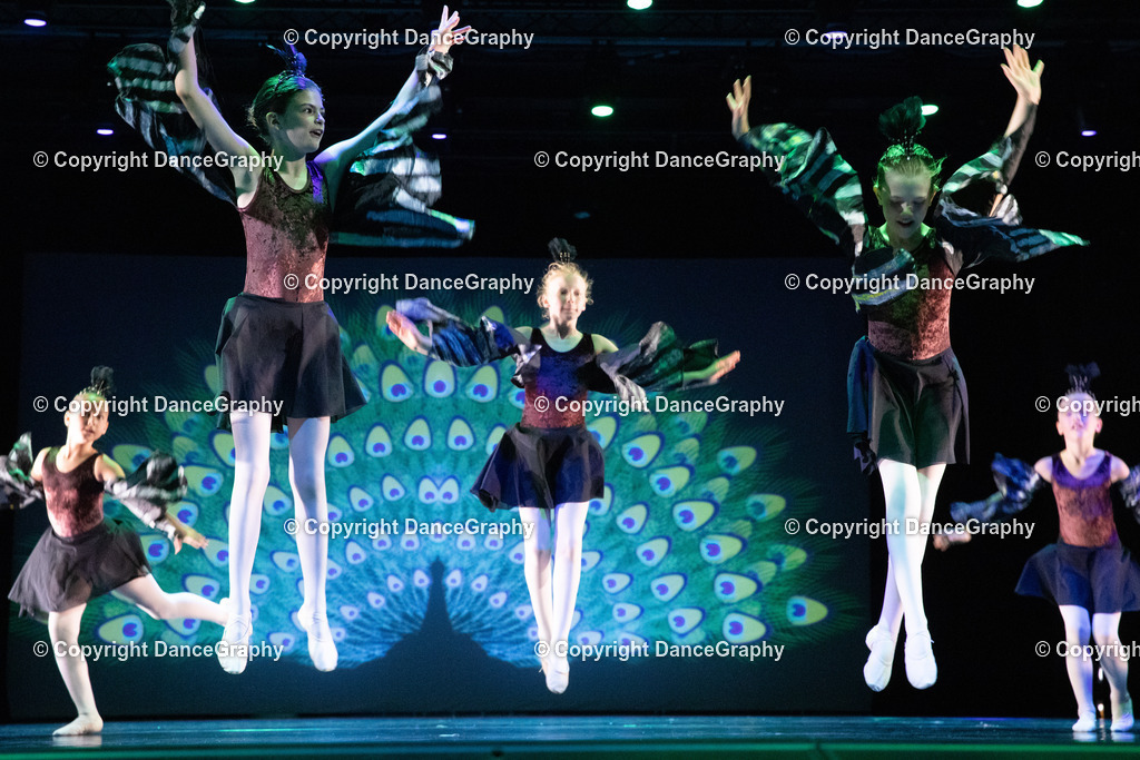 GPHY6173 | DanceGraphy - Realisiert mit Pictrs.com