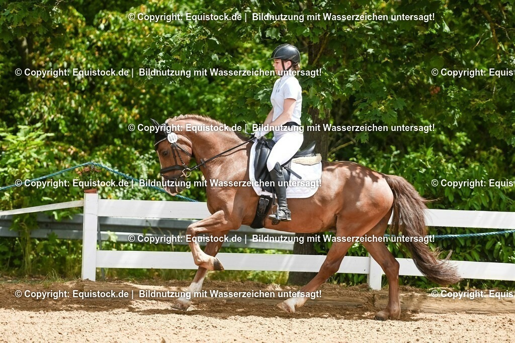 20230715_05_Dressurprüfung Kl.A++_0227 | equistock
