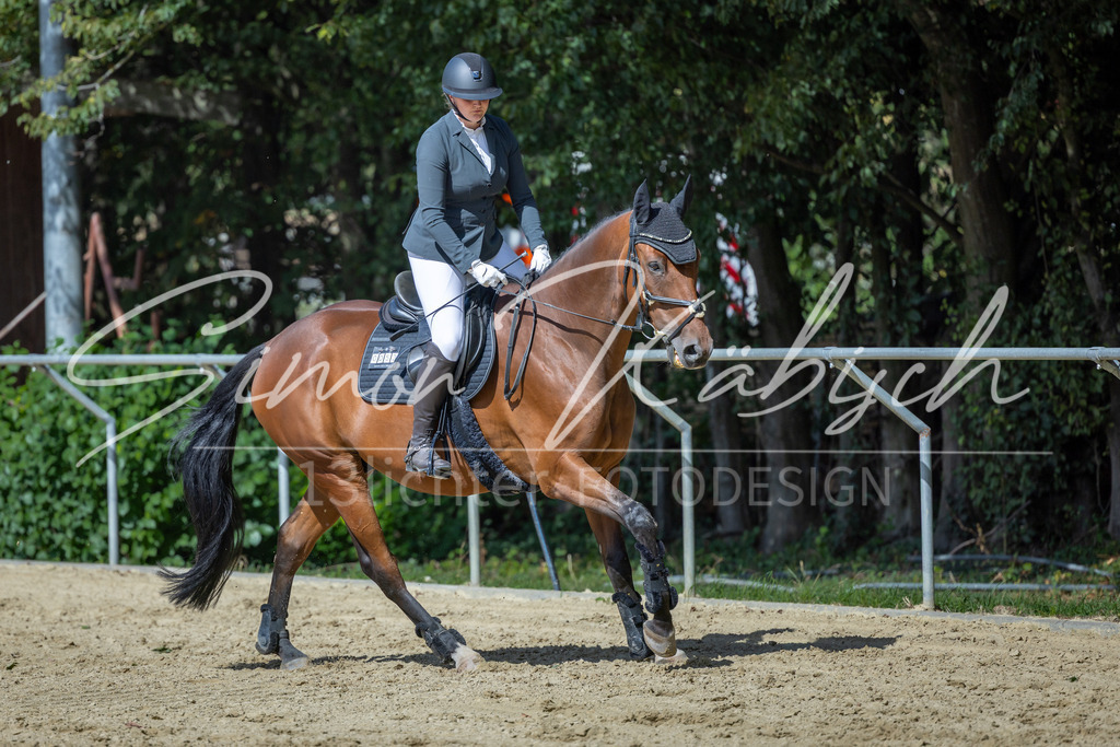 20260905-_3LI9052 | Tierfotografie Pferde, Hunde, Katzen, Haustiere.
Turnierfotografie Reitturniere, Reiten, Springreiten, Dressur in Hanau, dem Main-Kinzig-Kreis und dem Rhein-Main- Gebiet um Frankfurt