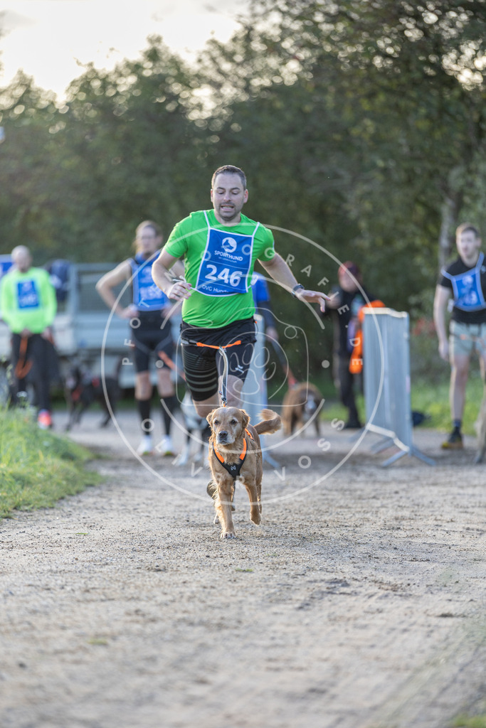 Pfotenfotografie.de_DV3A2718 | Hundefotografie, Tierfotograf, Pfotenfotografie, Fotoshooting Hund, Hunde Portrait, Hundesport, Hundeportraits, Heideshooting, Hunde, Sportfotograf, Hundefotograf, Turnierhundsport, THS, canicross - Realisiert mit Pictrs.com