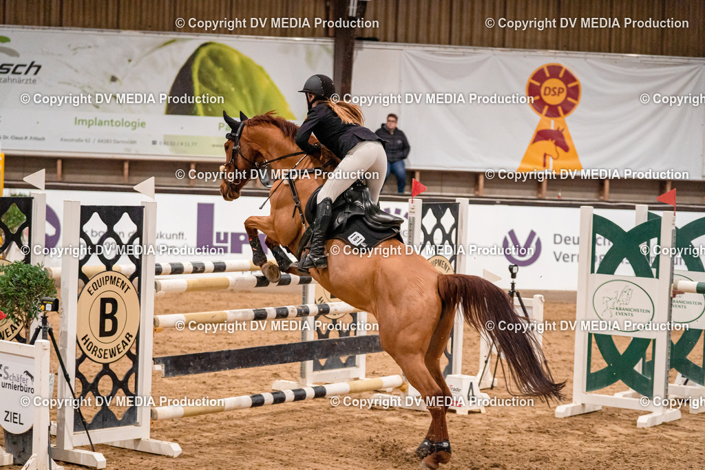 Kranichstein Tag 2-1305 | dv-media-shop - Realisiert mit Pictrs.com