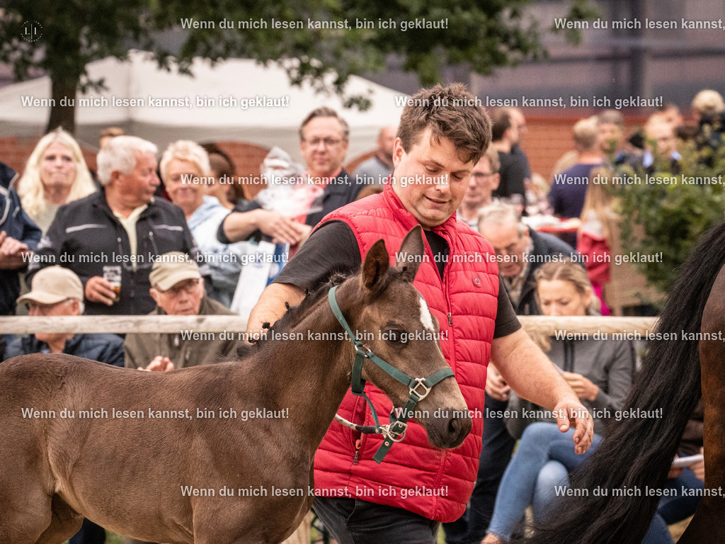 A10I4775 15.58.11 | photographylinaismer - Realisiert mit Pictrs.com