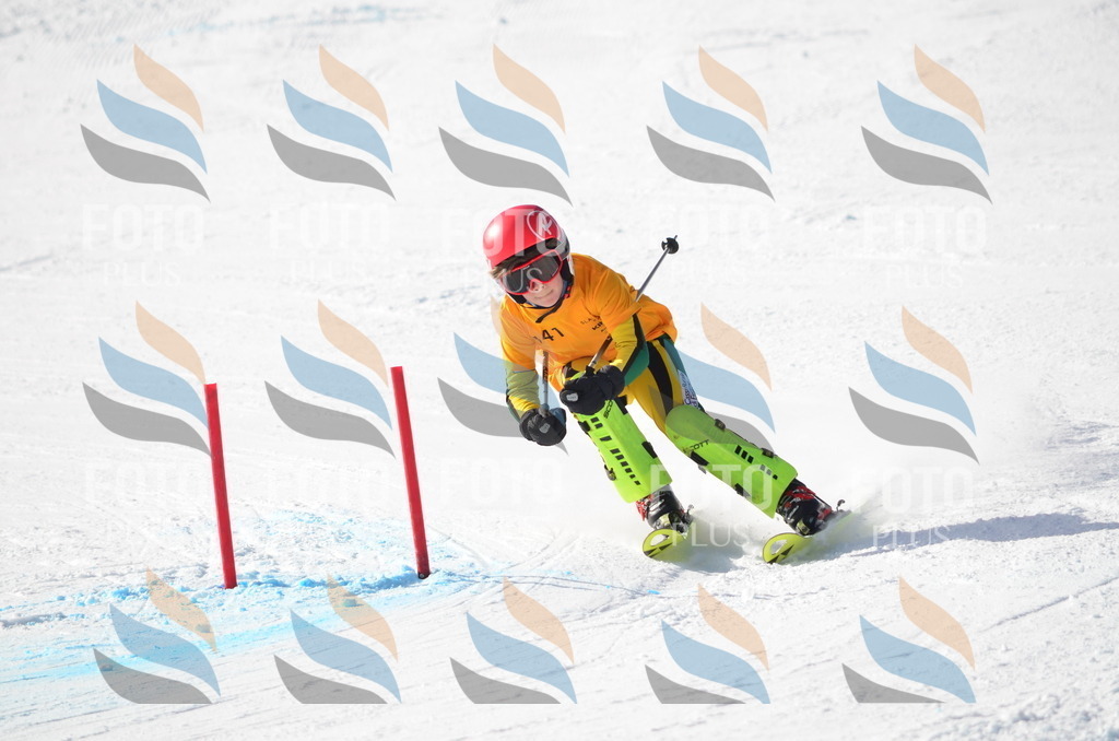 C6535 | holidayphoto