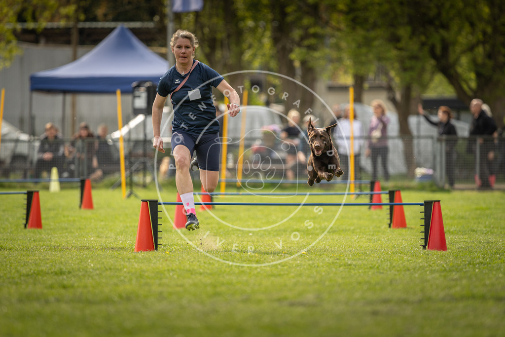 Pfotenfotografie_DV3A6043 | Hundefotografie, Tierfotograf, Pfotenfotografie, Fotoshooting Hund, Hunde Portrait, Hundesport, Hundeportraits, Heideshooting, Hunde, Sportfotograf, Hundefotograf, Turnierhundsport, THS,  - Realisiert mit Pictrs.com