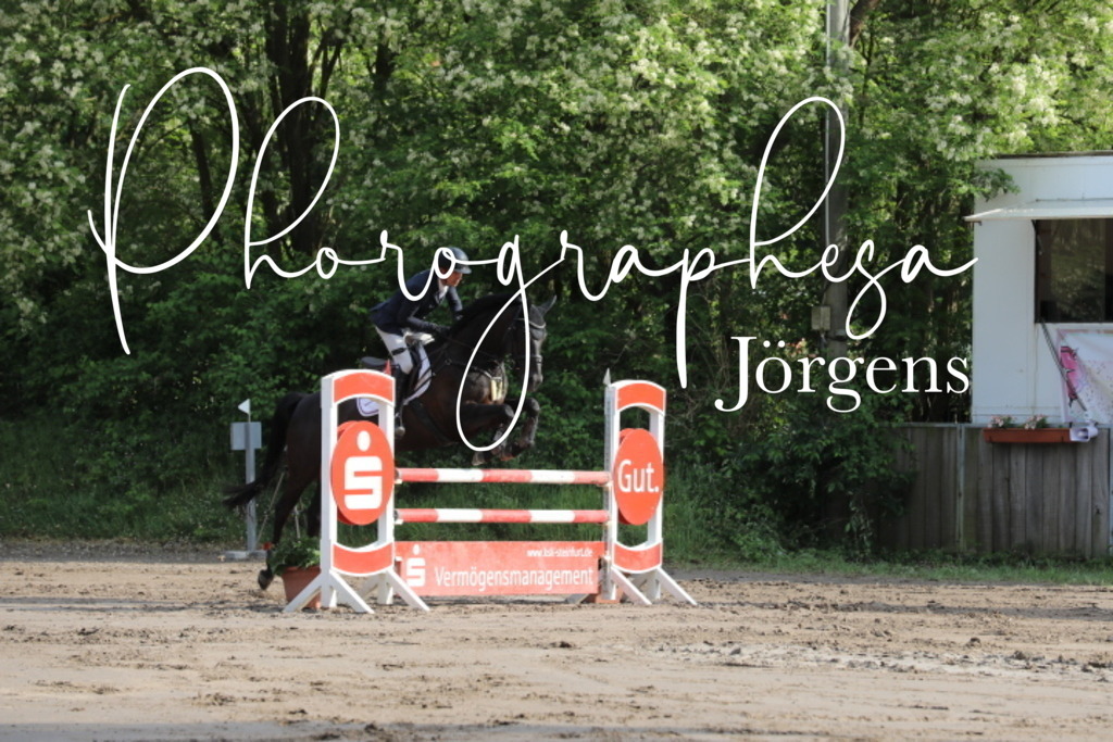 IMG_9052 | photographesa-joergens - Realisiert mit Pictrs.com