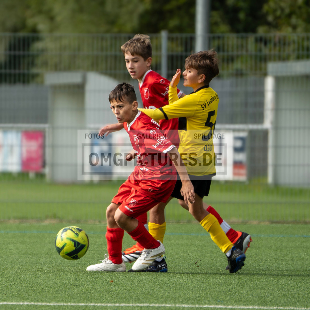 _DSC1971 | www.omgpictures.de, Sportfotograf, Verein, Fotograf, Baden Württemberg, Stuttgart, Heilbronn, omgpictures, Spieltag,  - Realisiert mit Pictrs.com