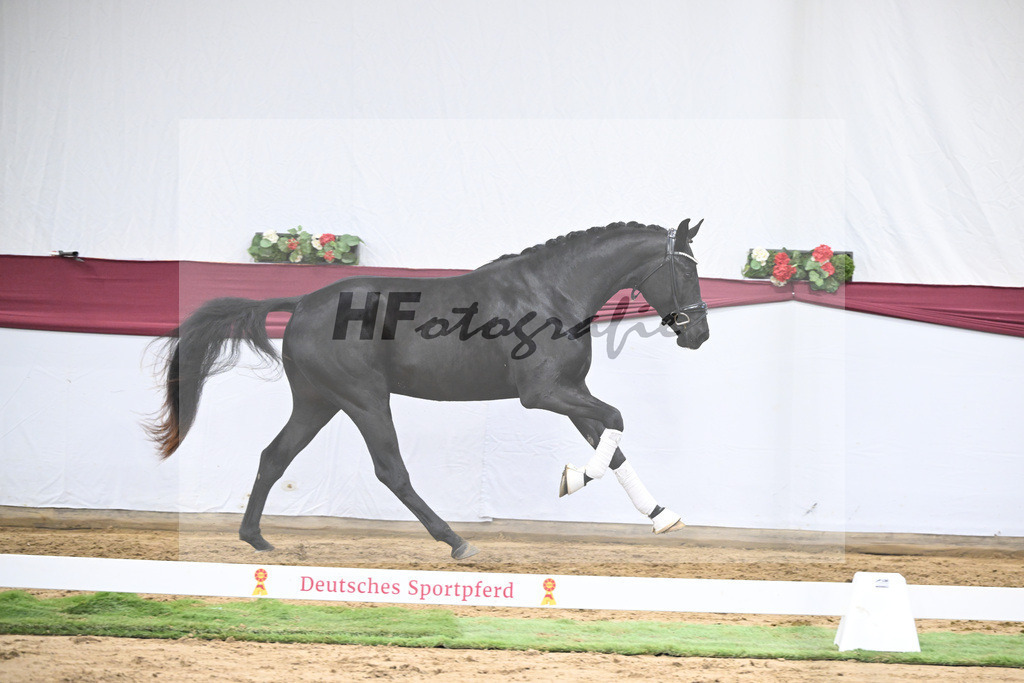 Kat-Nr. 37 St. Emilion x Quantensprung_Uwe Kraft_47251307 | hf-fotografie - Realisiert mit Pictrs.com