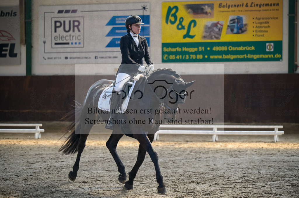 Reitturnier Voxtrup | Entdecke hochwertige Reitturnierfotos von Foto Oger. Professionell, emotional und authentisch – jetzt Lieblingsmomente im Shop bestellen.Deutschlandweite Turnierfotografie. - Realisiert mit Pictrs.com