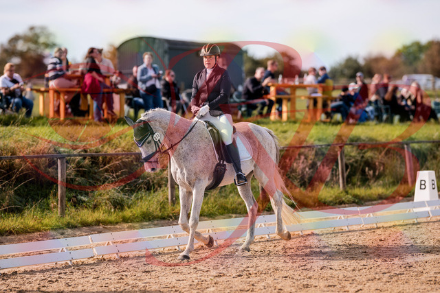 2026_10_03_Siefer-Hof_122629_Z81_25754716 | Professionelle Reitsport-, Turnier- und Eventfotografie von Robert Broda. Galerien mit ausgewählten und bearbeiteten Bildern direkt online ansehen und bestellen.