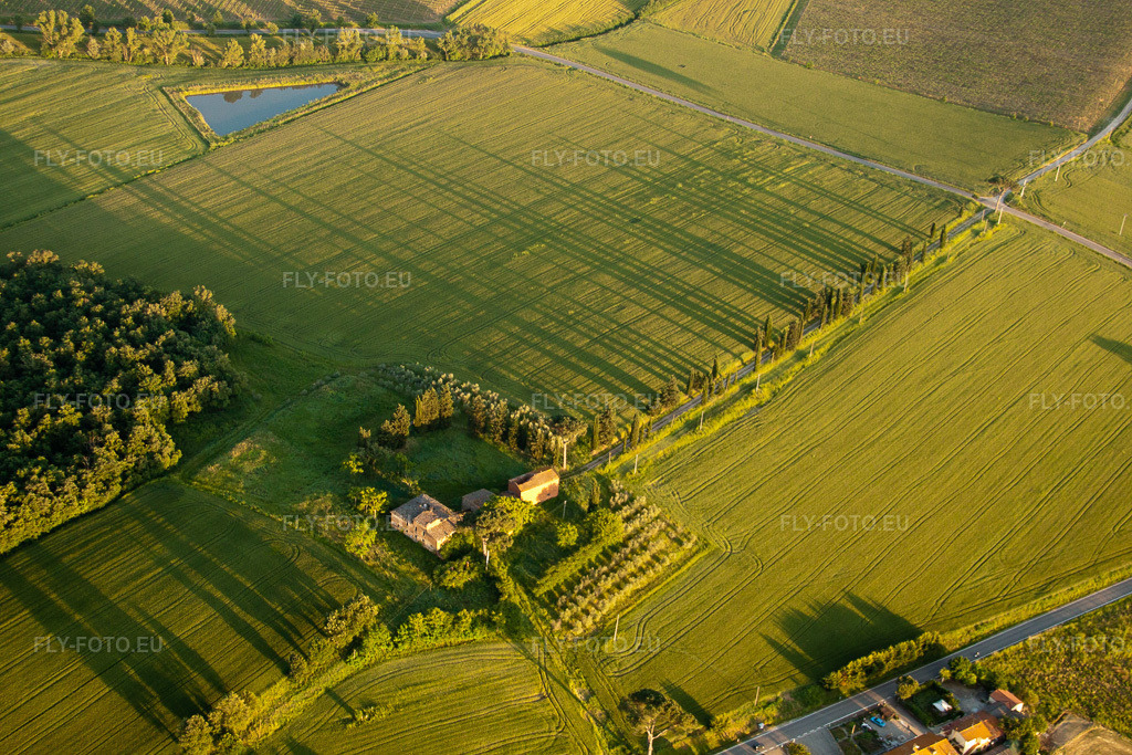 Vue aérienne: Zones herbeuses – structures d'un paysage champêtre avec de longues ombres projetées par l'allée de cyprès de l'ancienne ferme (Az. Agr. San Luciano) à Monte San Savino dans le département Arezzo, Italie. Photo: IMG_27989.jpg prise le 30/05/2010 par Werner Riehm/FLY-FOTO.eu – Résolution de l'original: 4752 x 3168 px