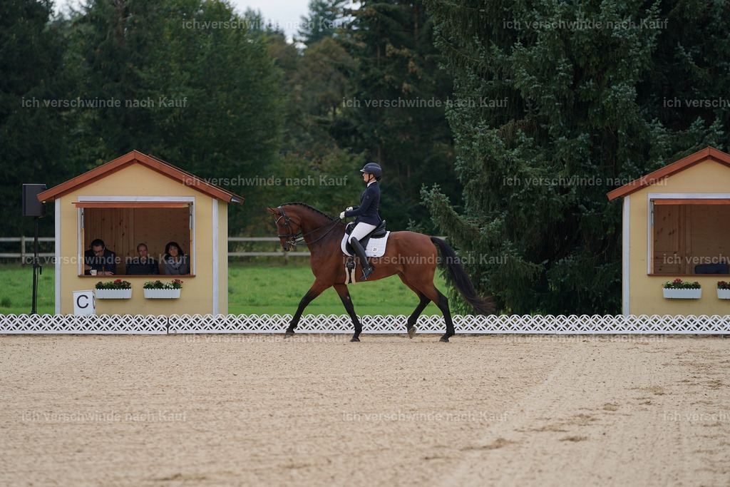 3-021-Dressur M_-Marixx-2225 | working equitationturnier fotograf videograf stoibphotography marixx film working equitation deutschland reitsport turnierfotografie eventfotografie equestrian events