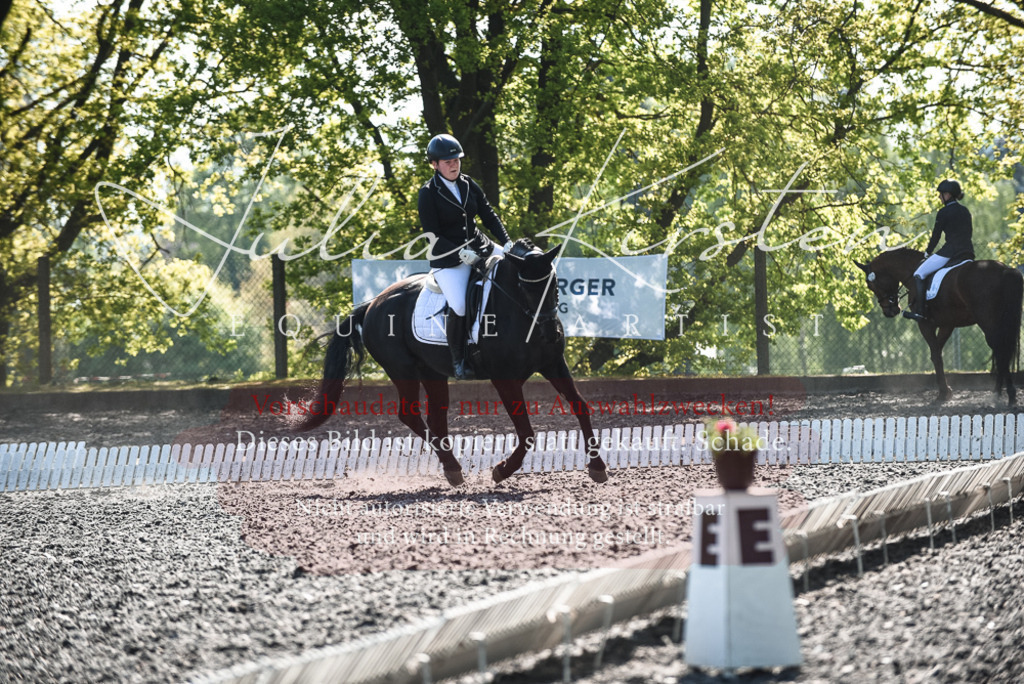 DSC_8822 | Pferde- und Turnierfotografie in Westsachsen. Pferdeportraits, Auftragszeichnungen und intuitive Kunst.